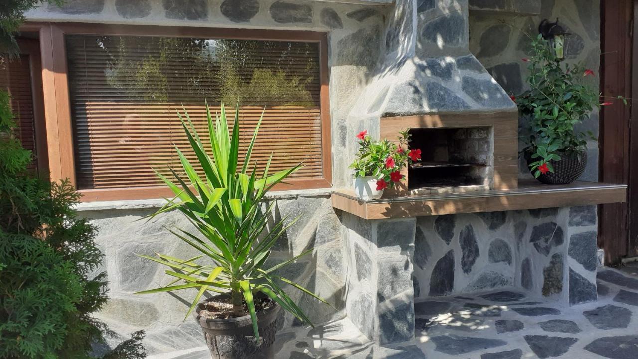 Guesthouse Dida 사파레바바냐 외부 사진
