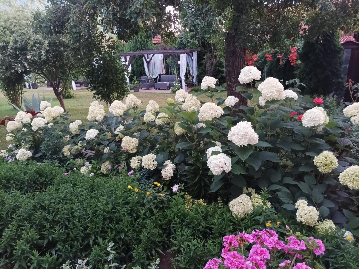 Guesthouse Dida 사파레바바냐 외부 사진